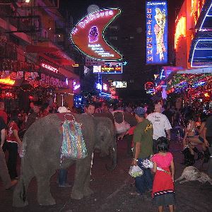 About Soi Cowboy Gogos Bangkok S Famous Red Light District